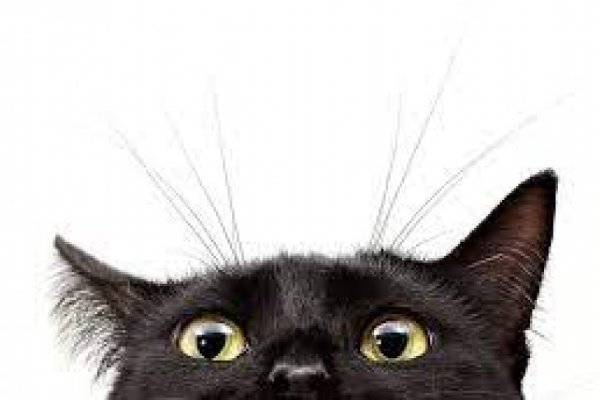 Кракен зеркало мотошлем кроссовый купить Москва