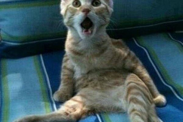 Кракен сайт мотокуртка городская купить