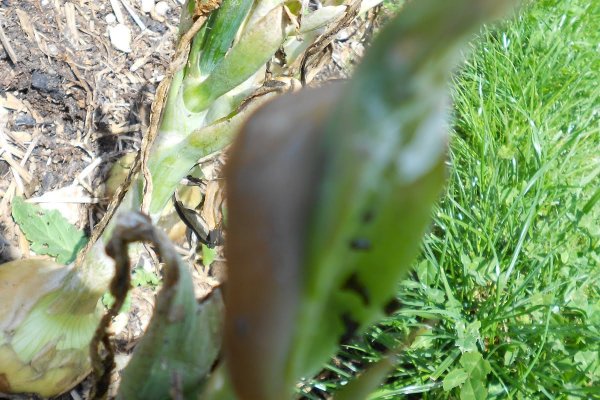 Кракен как попасть мотоэкипировка