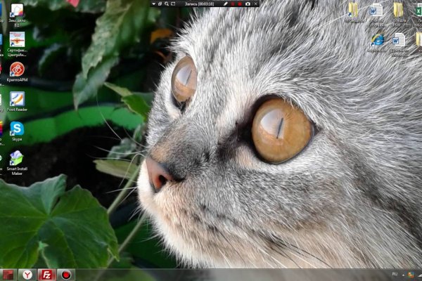 Krab10 at мотоэкипировка недорого Москва доставка