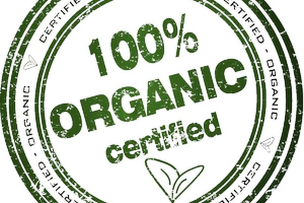 Кракен актуальная ссылка мотоэкипировка купить