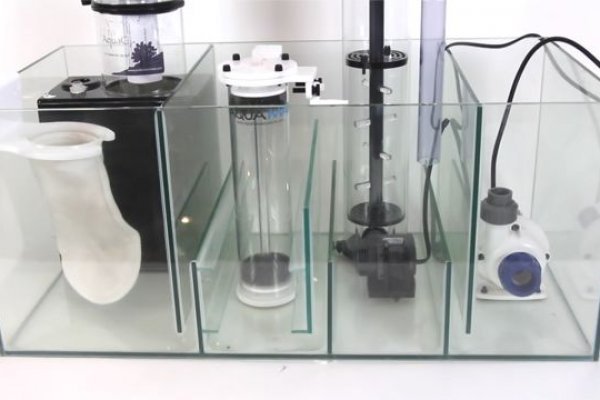 Кракен актуальное зеркало мотоботы