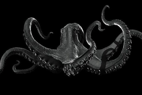 Заказать kraken мотокуртка