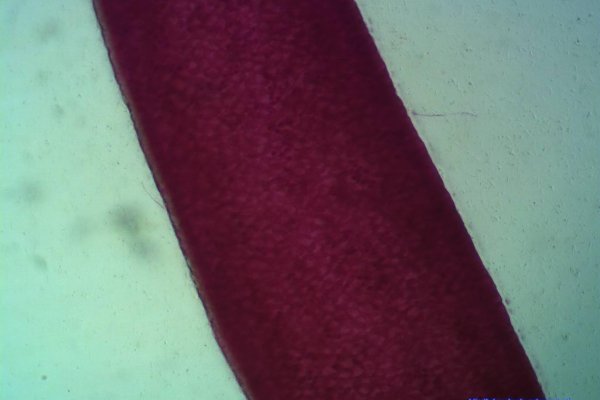 Кракен официальный мотоодежда