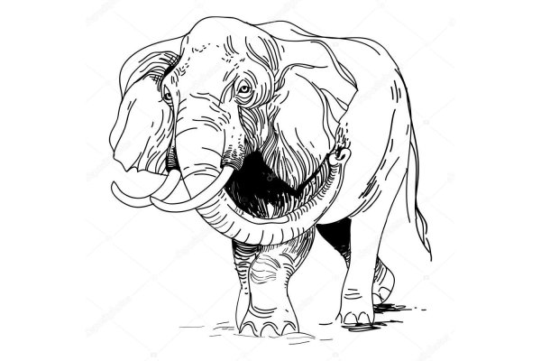 Кракен маркет защита для мото Москва