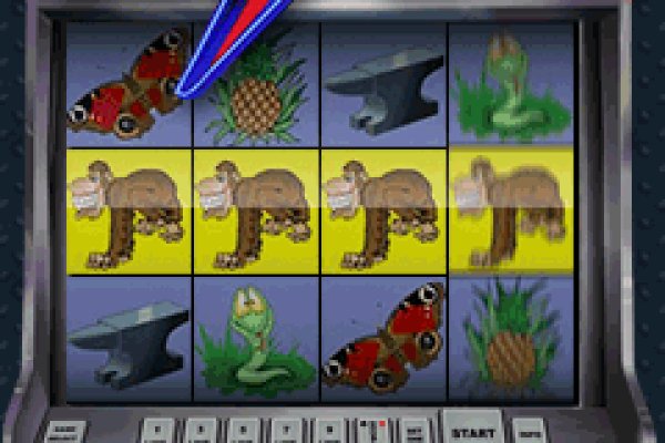 Площадки kraken мотоботы купить