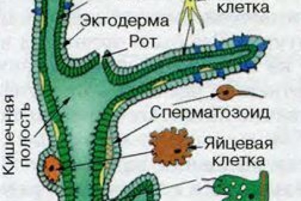 Заказать kraken купить мотоэкипировку