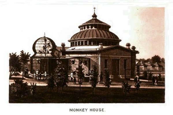 Кракен как попасть мотокуртка