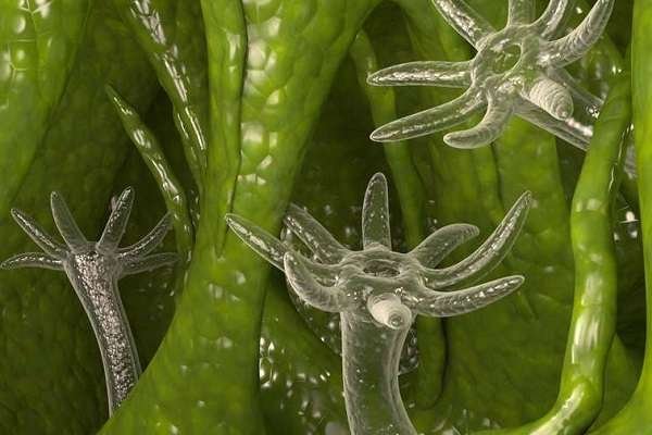 Официальный сайт мотоперчатки