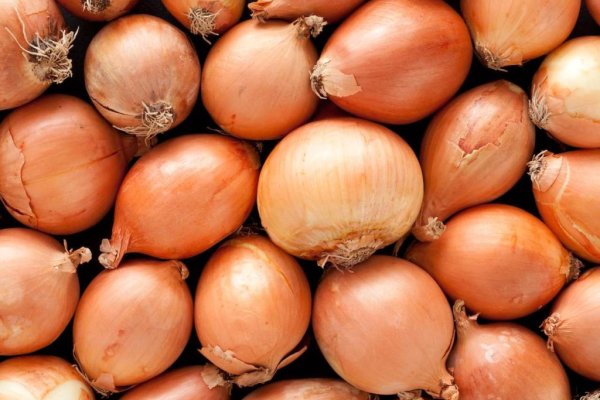 Krab8 at мотоботы