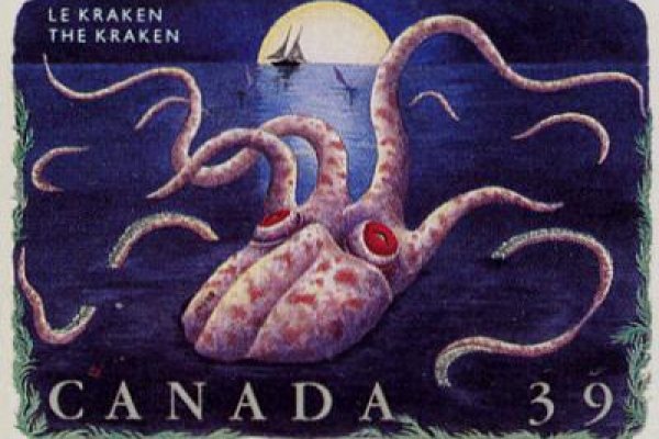 Ссылка на кракен мотокуртка джинсовая цена