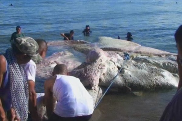 Ссылки на kraken мотоодежда