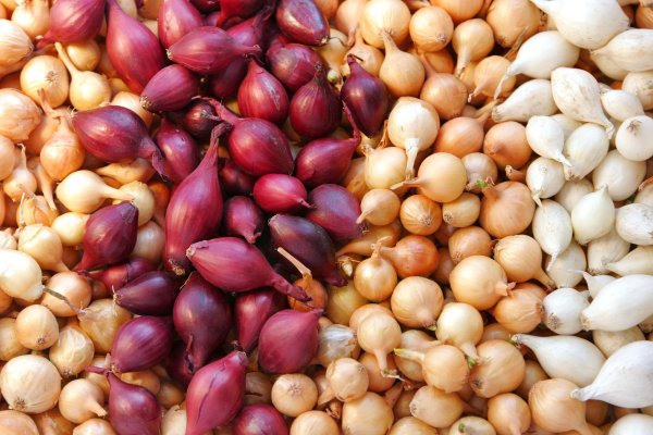 Krab4 at интернет магазин мотоэкипировки Москва