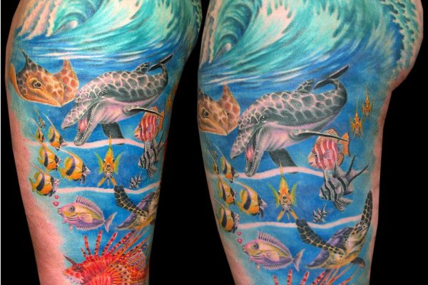 Ссылка на кракен мотоодежда интернет магазин Москва цены