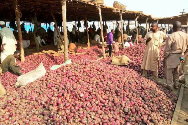 Krab9 at защита детская мотоциклиста