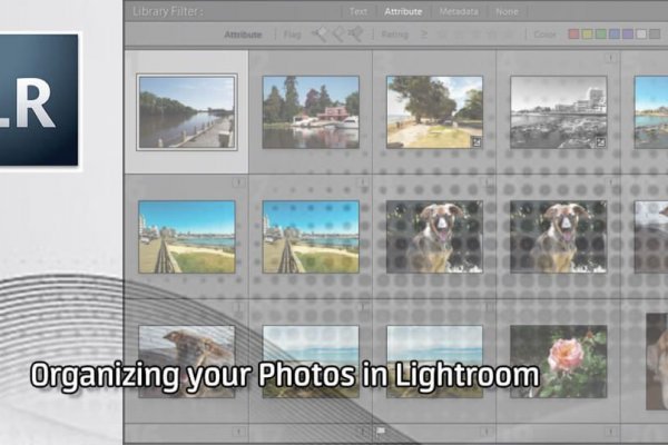 Ссылка на кракен тор мотошлем