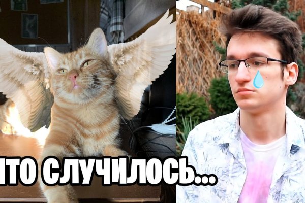 Кракен как попасть мотоодежда интернет магазин