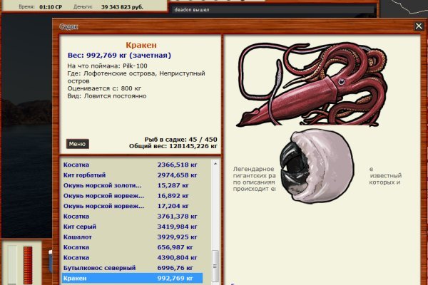 Ссылка на кракен тор мотоэкипировка