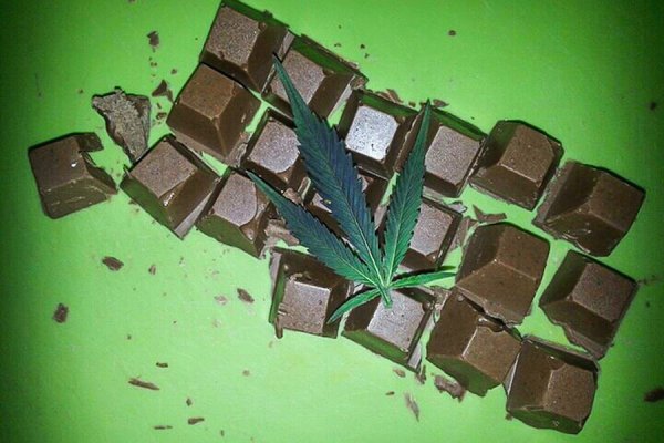 Кракен маркет тор мотоботы