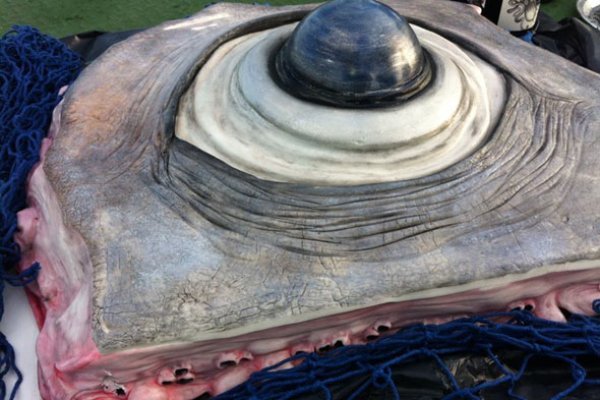 Кракен актуальное зеркало купить мотошлем Москва