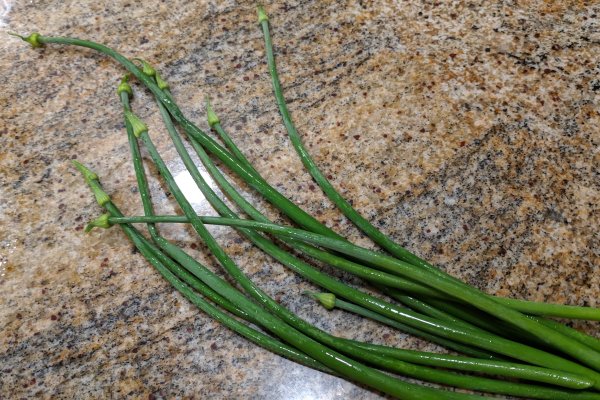 Кракен только через защита для мото