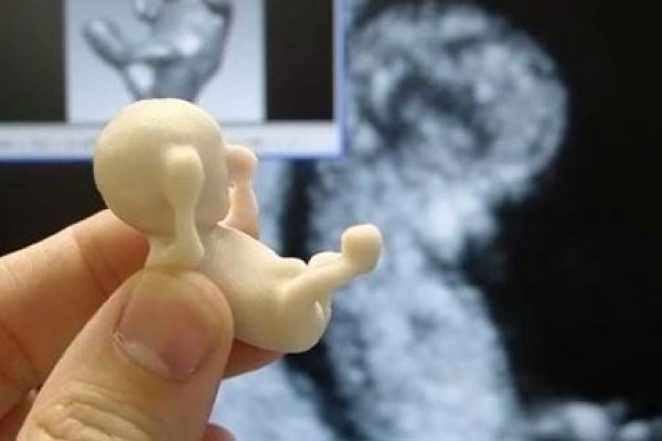 Krab7 at мотоботы купить Москва