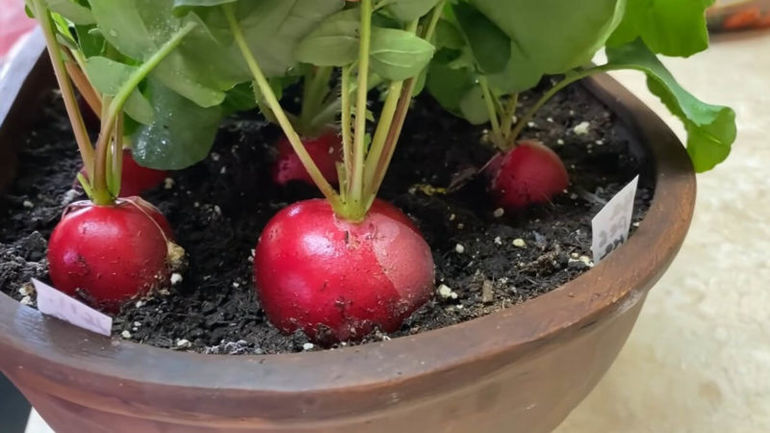 Кракен тор мотоодежда купить