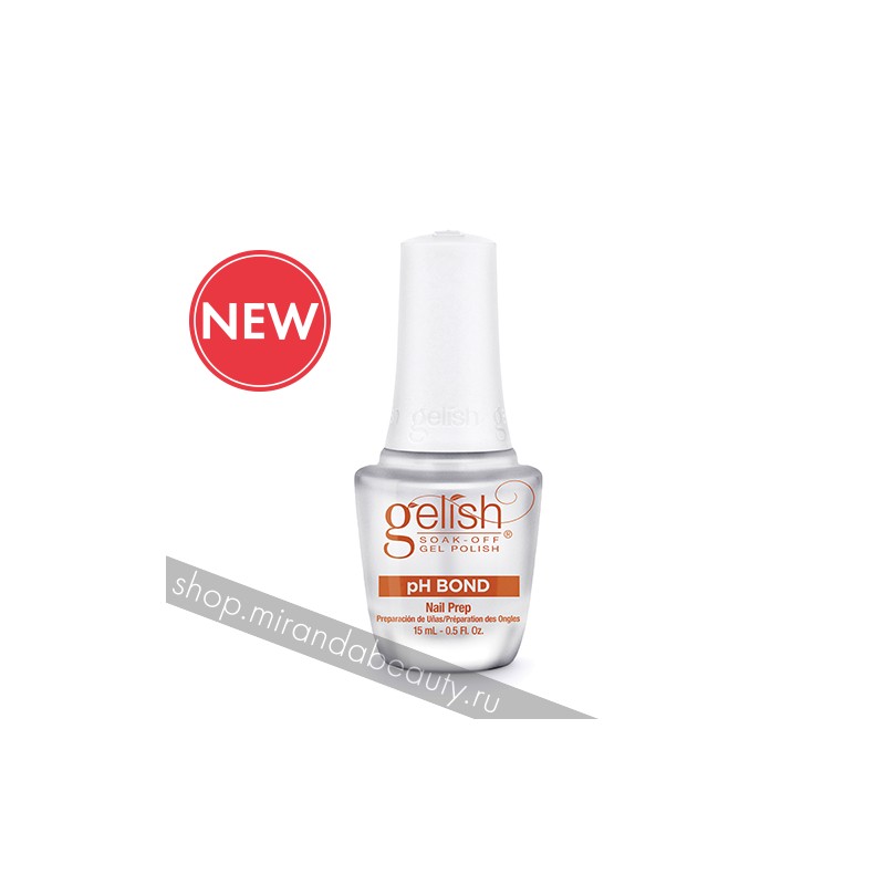 Кракен актуальные мотоэкипировка