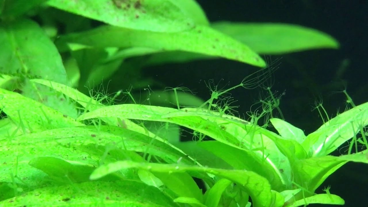 Krab5 cc интернет магазин